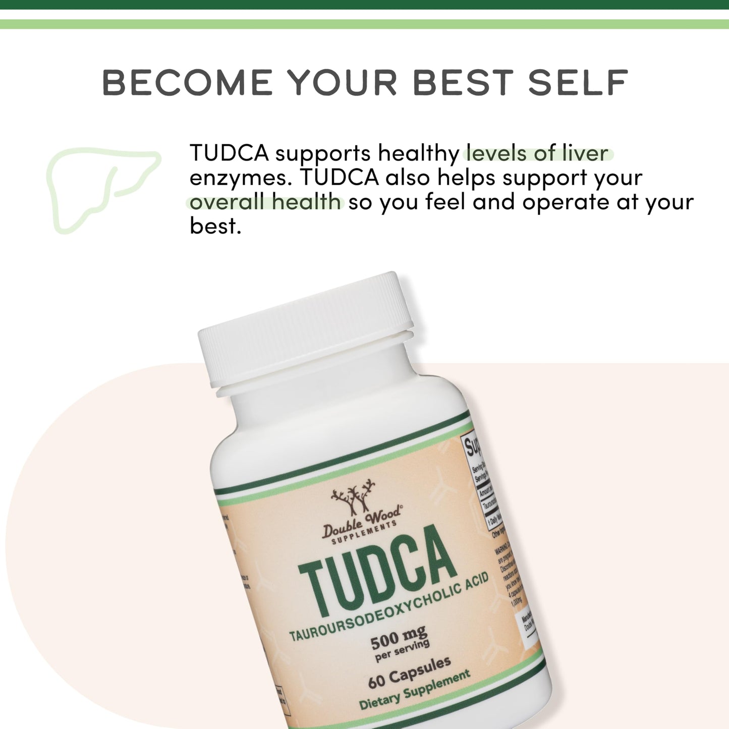 TUDCA Supplement